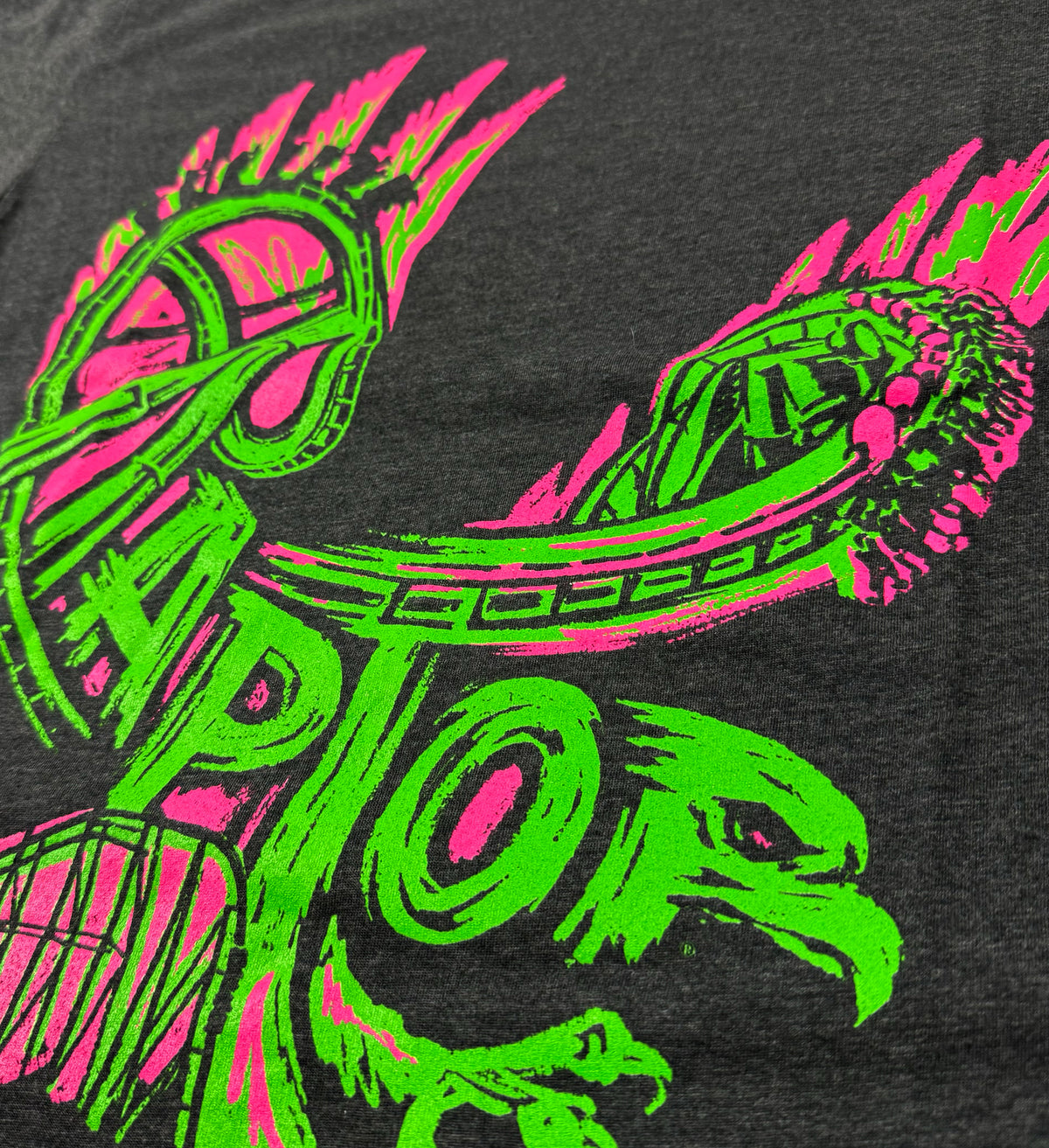 Raptor Wordscape T Shirt
