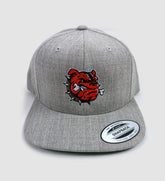 Grey Dawg Snap Back