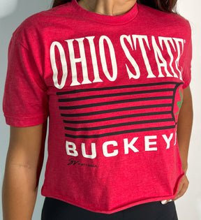 Ohio State Buckeyes Lines Crop