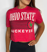 Ohio State Buckeyes Lines Crop