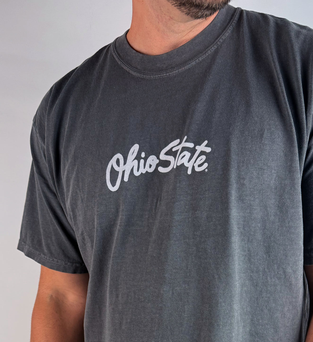 Ohio Big Script Silver T Shirt