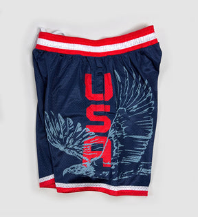 Limited Edition USA Eagle Mesh Shorts